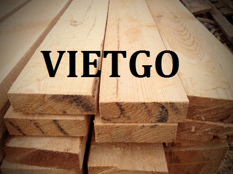 Gỗ bạch đàn, gỗ thông xẻ, củi đốt Vietgo